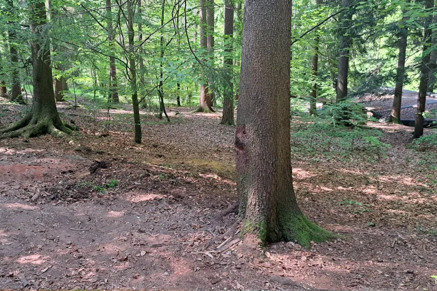 Kamera 3: Bývalá sauna